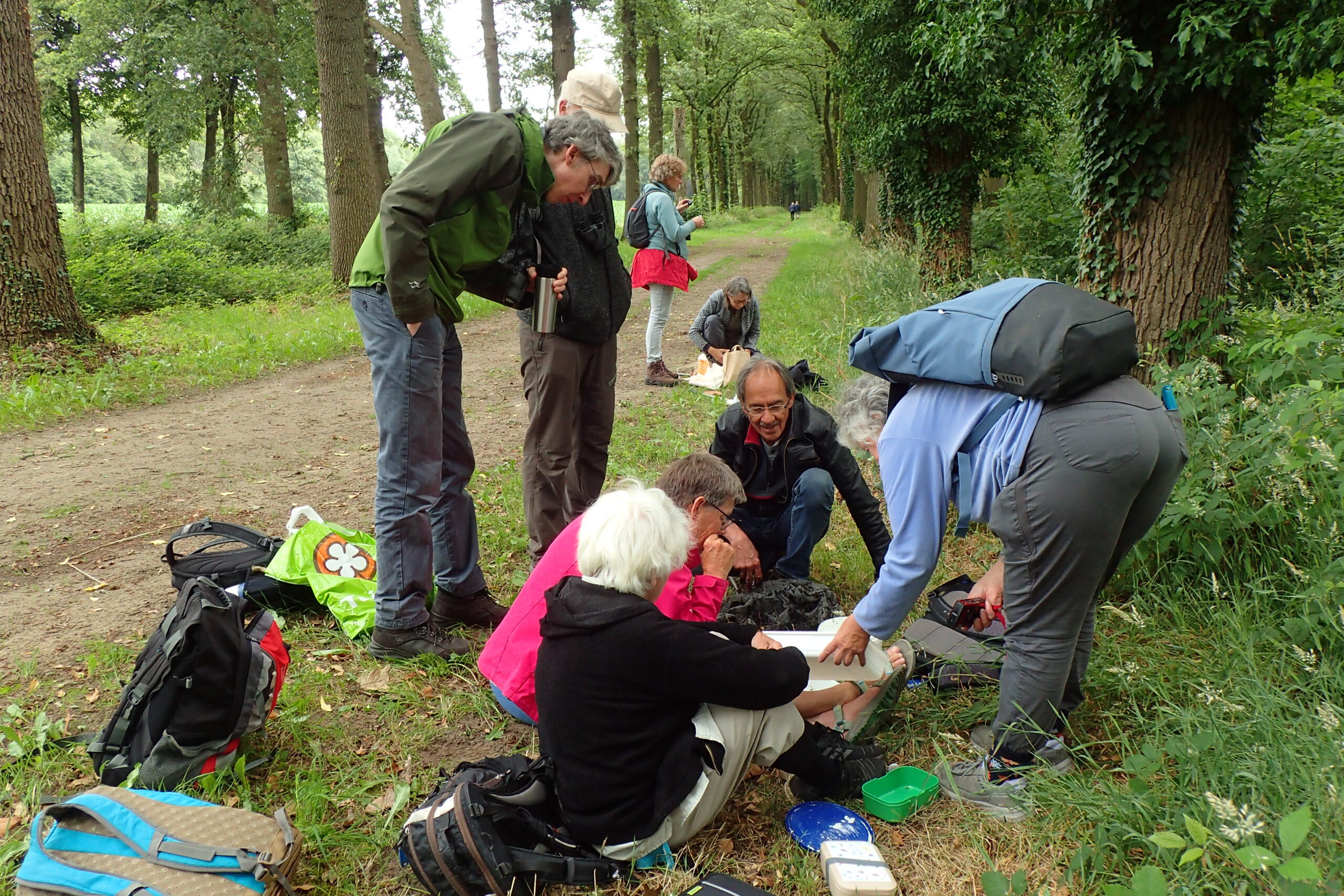 Studieweek Insecten, 2 – 8 juli
